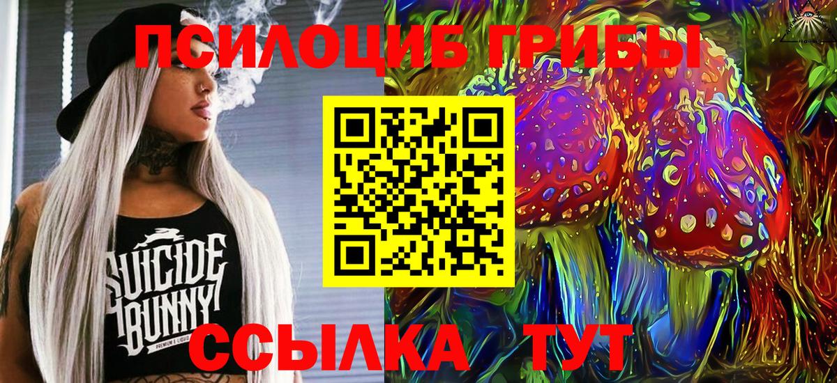 Псилоцибиновые грибы Cubensis Славгород